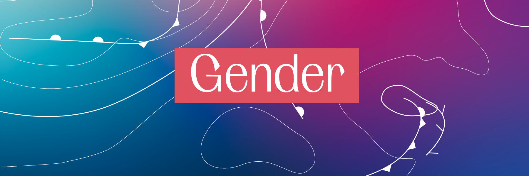 FES Gender Glossar Gender