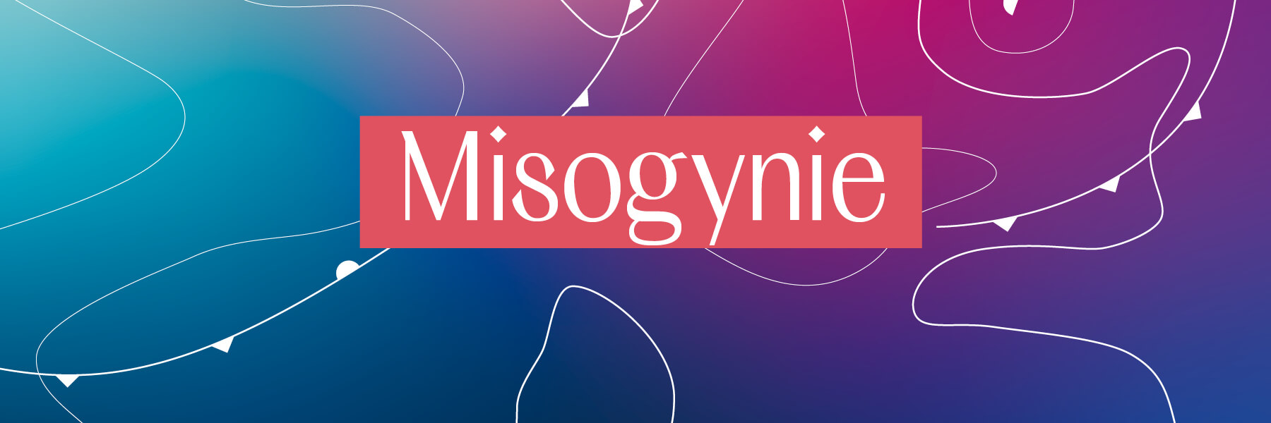 FES Gender Glossar - Misogynie