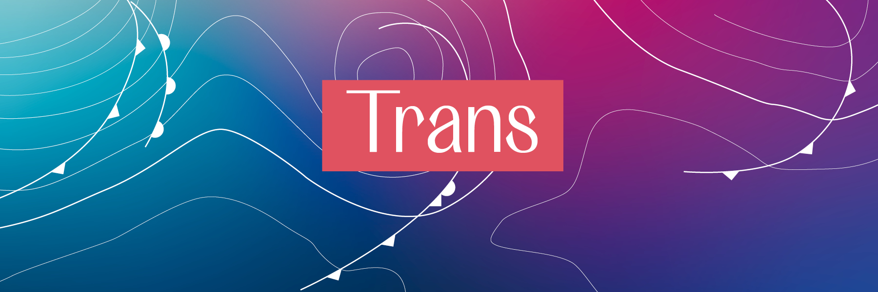 FES Gender Glossar - Trans