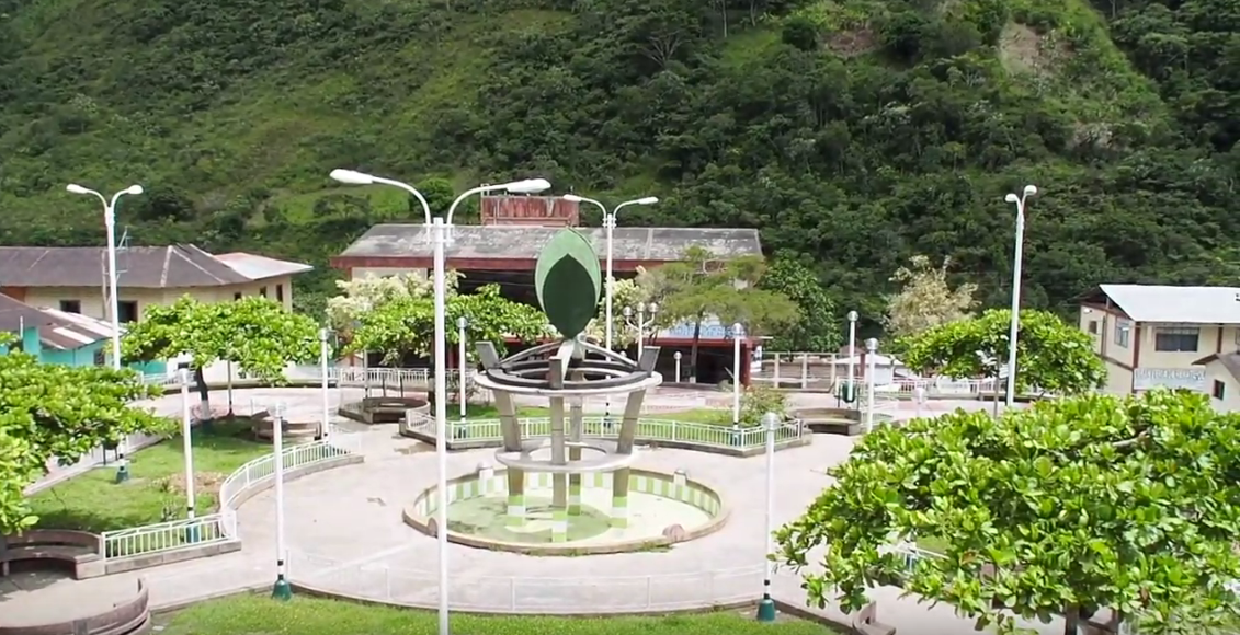 Denkmal für die Koka-Pflanze in Monzón