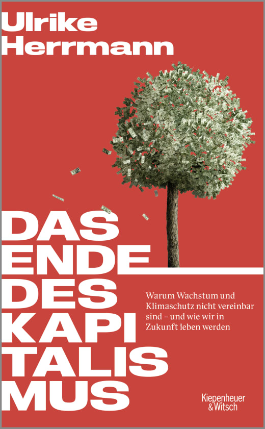 Buchcover: Das Ende des Kapitalismus