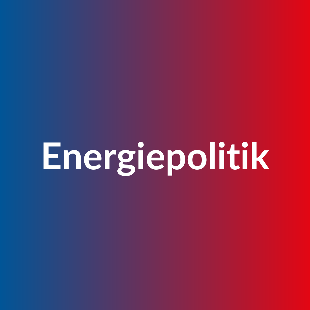 Button zu Glossarbeitrag zum Thema Energiepolitik