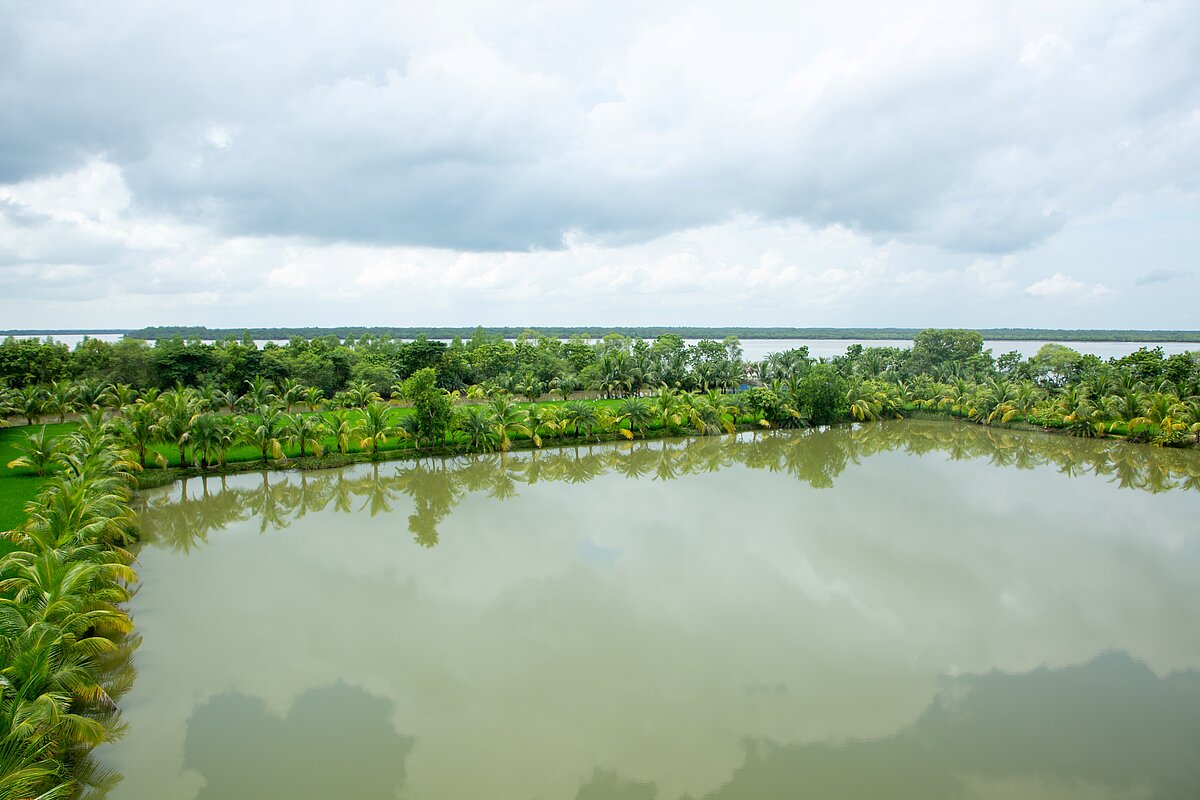 Das Bild zeigt einen Süßwasserteich in Pukur (Bangladesch) in der Nähe eines Salzwasserhaltigen Flusses.