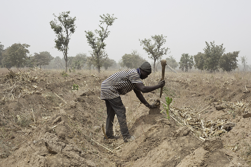 Farmer beim Gemüsepflanzen in Burkina Faso