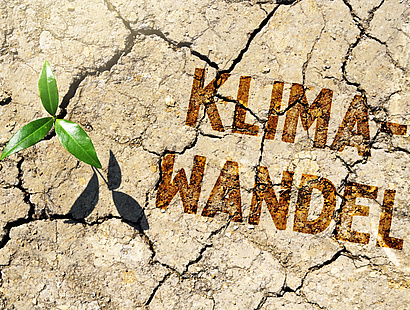 Klimapolitik, Nachhaltigkeit und Internationales