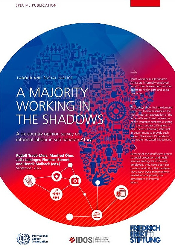 Cover der Publikation: "A Majority working in the shadows". Übersetzung: "Eine Mehrheit arbeitet im Verborgenen."