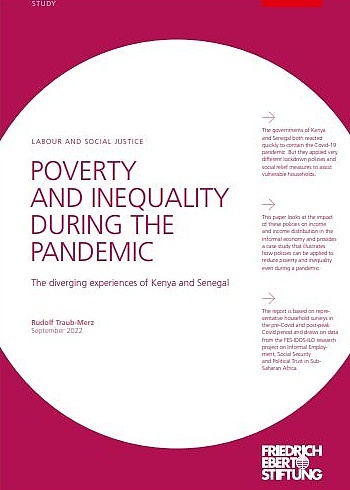 Cover "Poverty and Inequality during the Pandemic." Übersetzung: "Armut und Ungleichheit während der Pandemie":