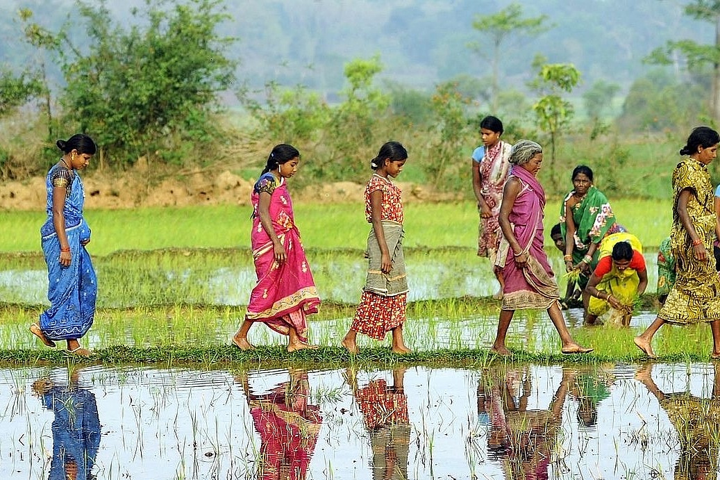 Frauen in traditioneller Kleidung gehen barfuß über einen schmalen Korridor aus Gras. Zu beiden Seiten Wasser und andere Frauen, die arbeiten