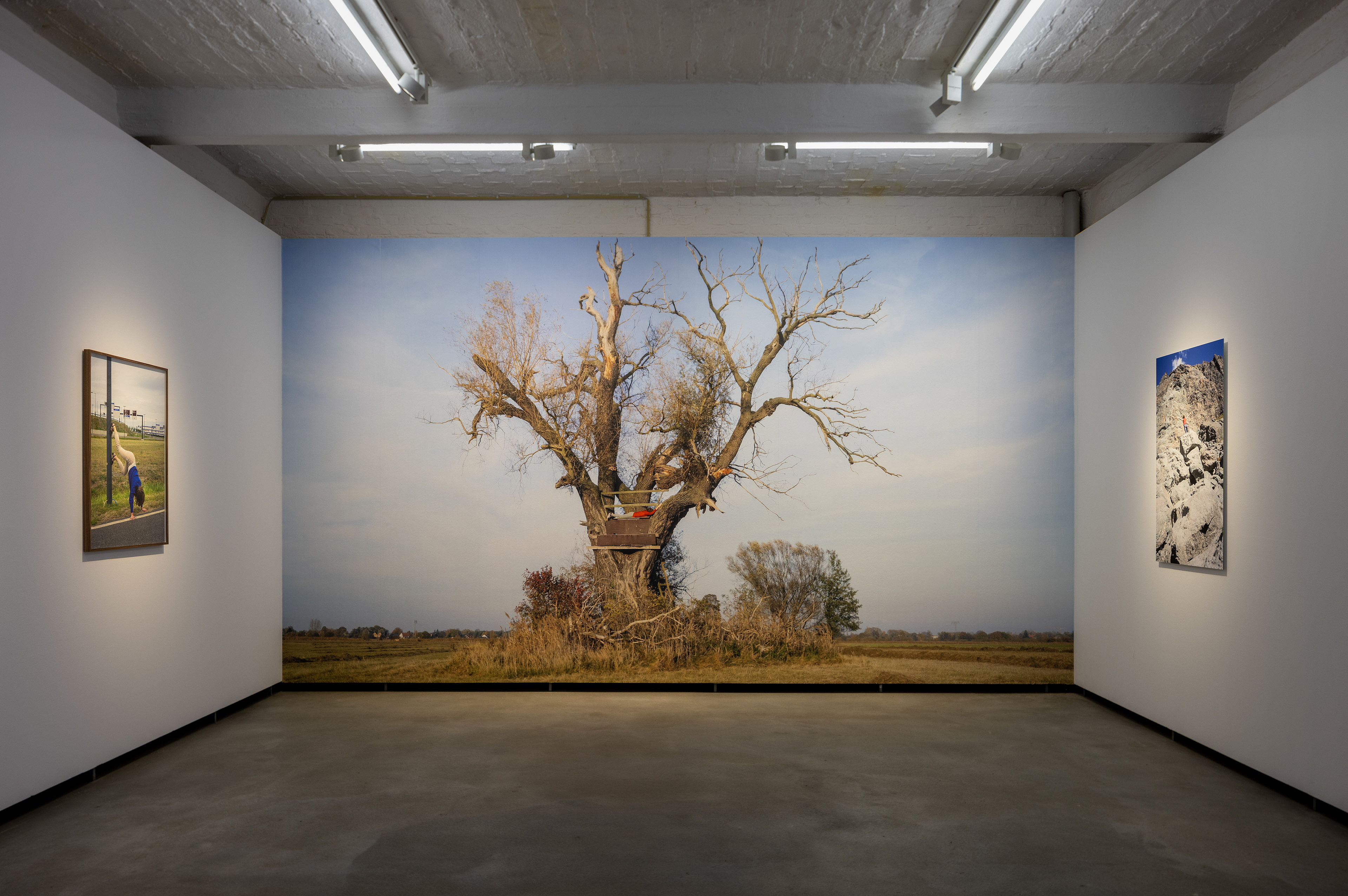 „Temporal Gestures // The Tree” von Magdalena Kallenberger, das Bild zeigt die Künstlerin in einer performativen Pose in einem Baum