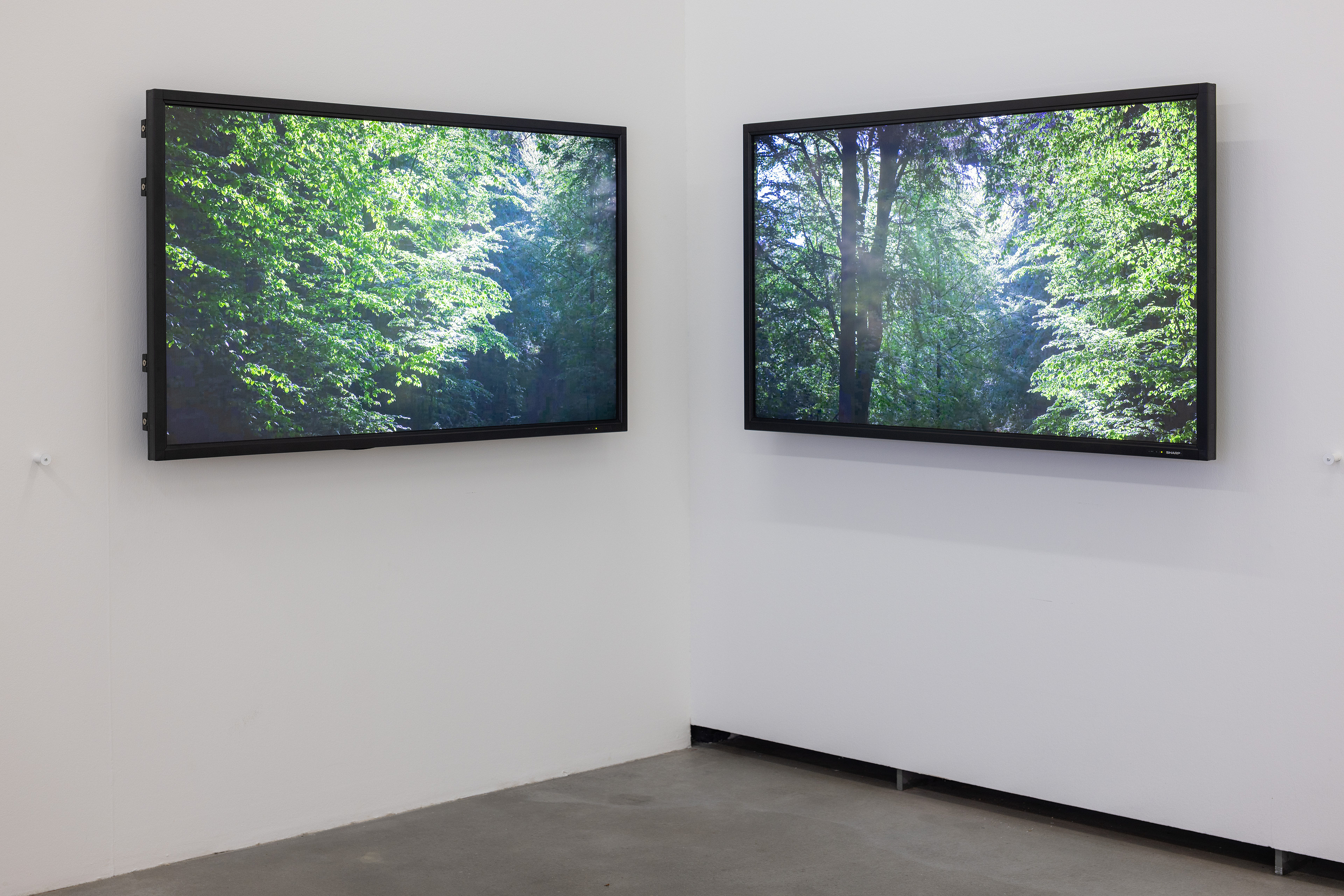„Trees Dreaming“. von Astra Zoldnere, zwei Bilder zeigen Baumkronen und Blätter