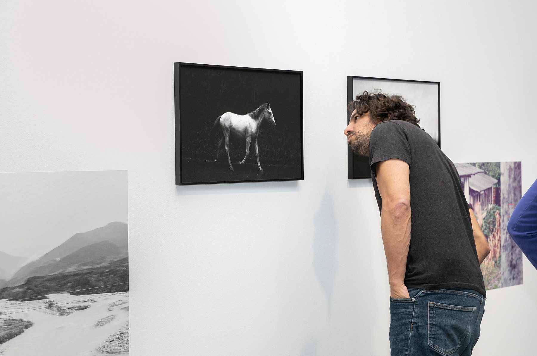 Ein Besucher betrachtet einen Teil des Werkes von Gabriel Enrique Corredor aus der Nähe