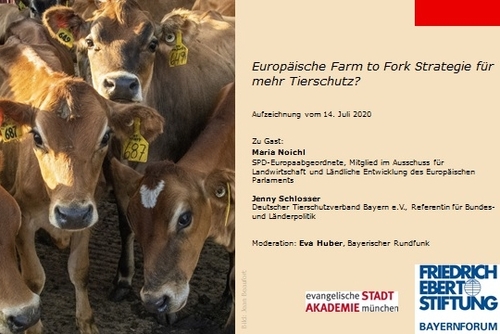 Europäische "Farm to Fork"-Strategie für mehr Tierschutz