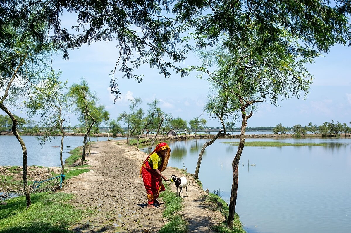 Dämme gegen die weitere Ausbreitung des Salzwassers in Bangladesch
