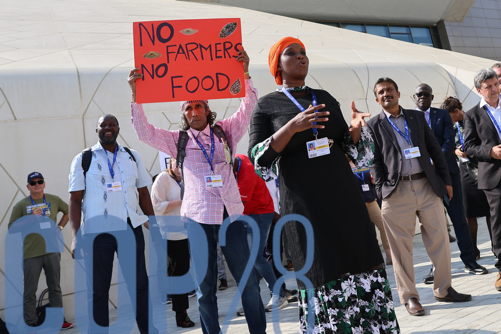 Demonstration von Bauern und Bäuerinnen bei der COP28. Ein Demonstrant hält ein Schild "Keine Bauern. Keine Nahrung."