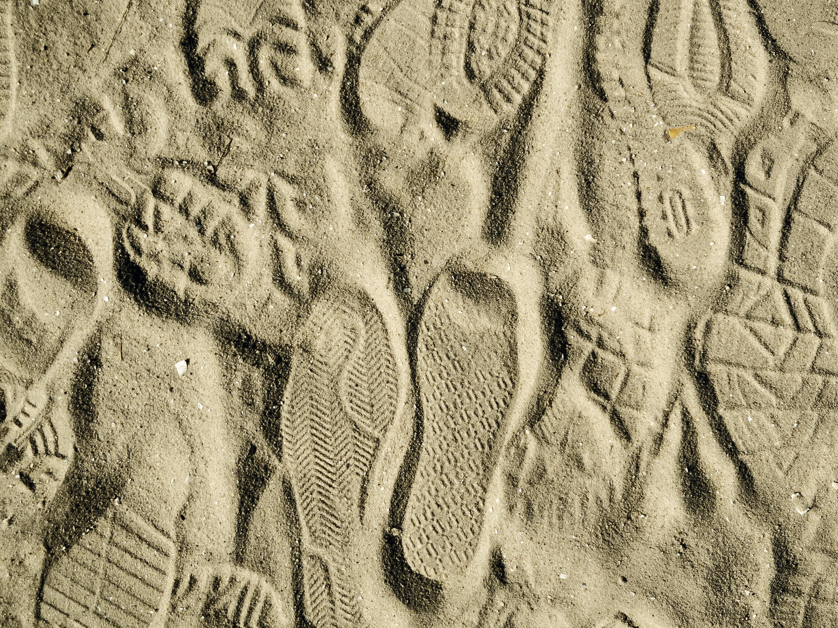 Cover der Studie mit Schuhabdrücken im Sand