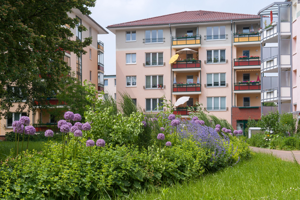 gepflegtes Wohnhaus mit schönen Blumen im Vordergrund 