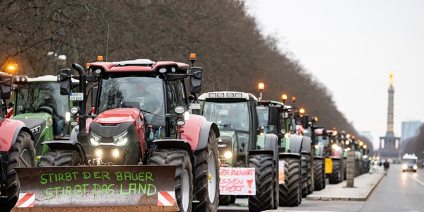 Eine Reihe Traktoren auf einer Demo auf der Straße des 17. Juni in Berlin, der erste trägt die Aufschrift "Stirbt der Bauer, stirbt das Land"