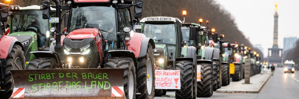 Eine Reihe Traktoren auf einer Demo auf der Straße des 17. Juni in Berlin, der erste trägt die Aufschrift "Stirbt der Bauer, stirbt das Land"