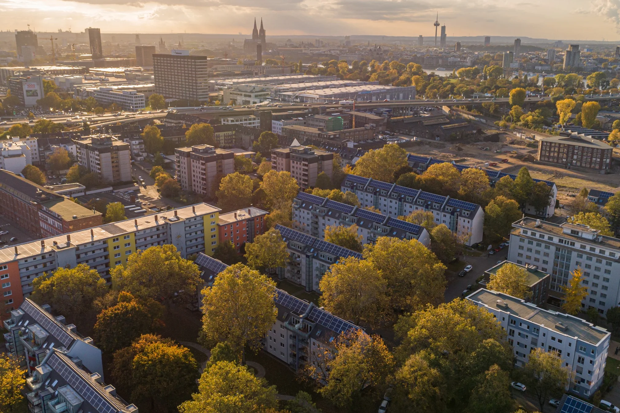Stegerwaldsieldung von oben.