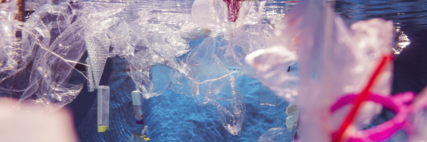 Plastikmüll im Wasser