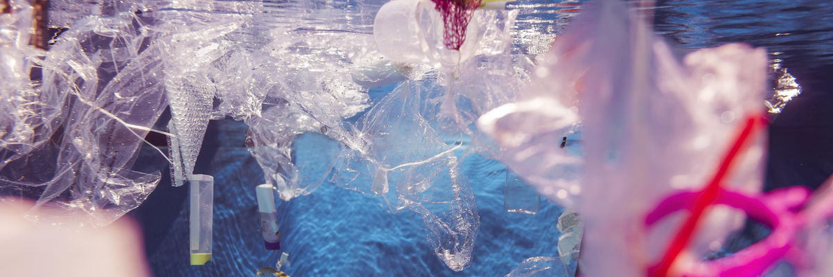 Plastikmüll im Wasser