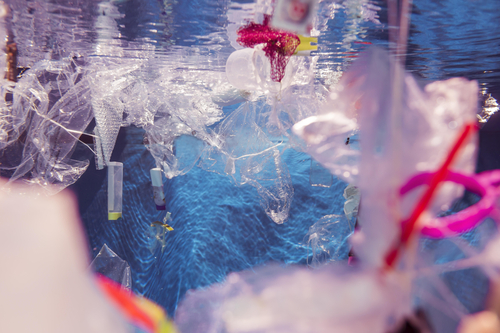 Plastikmüll im Wasser