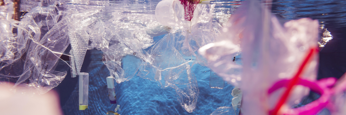 Plastikmüll im Wasser