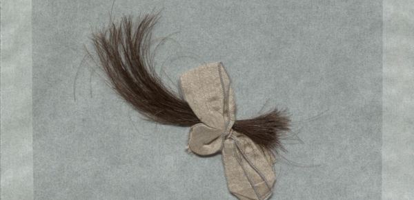 Haarlocke im Nachlass von Hugo Sinzheimer