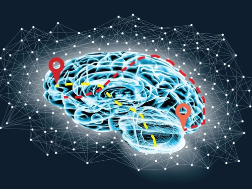 Illustration eines menschlichen Gehirns auf schwarzem Hintergrund, umgeben von einem Netzwerk von Punkten.