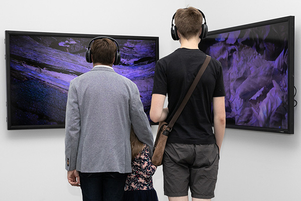 Drei Besucherinnen schauen sich auf zwei Bildschirmen eine Kunstinstallation an.