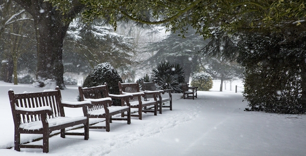 Winterlandschaft mit Bänken, Bäumen und Schnee