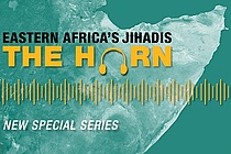 Banner zum Podcast The Horn
