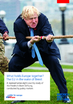 What holds Europe together? The EU in the wake of Brexit