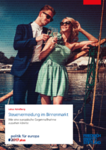 Steuervermeidung im Binnenmarkt