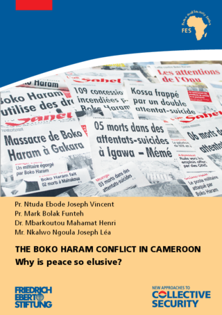 The Boko Haram conflict in Cameroon