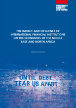 The impact and influence of international financial institutions on the Middle East & North Africa