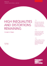 High inequalities and distortions remaining
