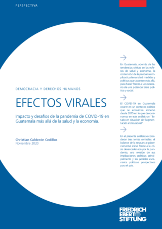 Efectos virales