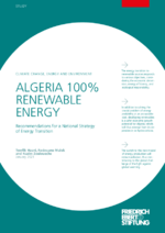 Algeria 100% renewable energy