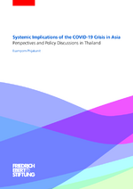 Systemic implications of the COVID-19 crisis in Asia