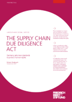 The supply chain due diligence act
