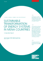 Sustainable transformation of energy systems in MENA Countries