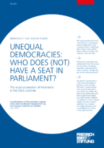 Unequal democracies: who does (not) have a seat in parliament?