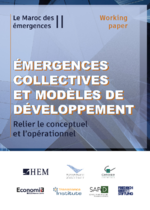 Émergences collectives et modèles de développement