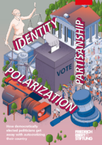 Identity, partisanship, polarization