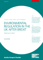 Environmental regulation in the UK after Brexit