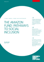 The Amazon Fund