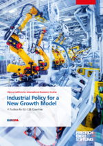 Industrial policy for a new growth model