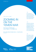 Zooming in on the Yemen war