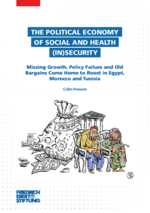 The political economy of social and health (in)security